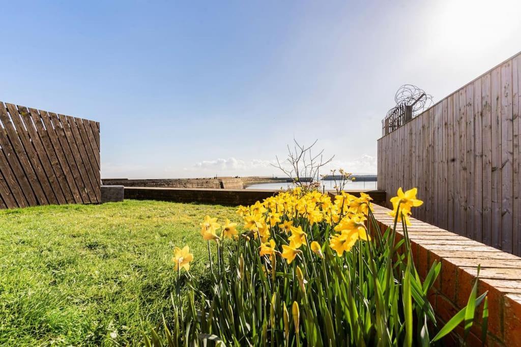 Stunning Ground Floor Hartlepool Marina Apartment Экстерьер фото